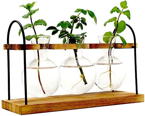 Glass Metal Swivel Holder, 3 Bulb Plant Vase Terrarium with Wooden Stand-Desktop
