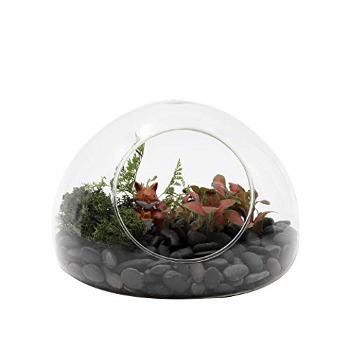 Hand Blown Glass Egg Shaped Round Bubble Terrarium Glass Globe