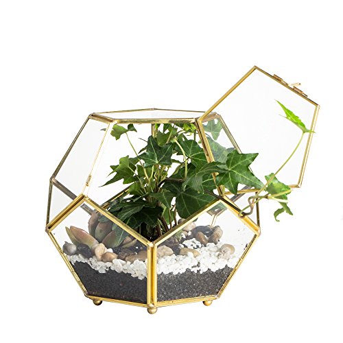 Gold Brass Glass Geometric Terrarium Planter with Door and Foot, (No Plants)