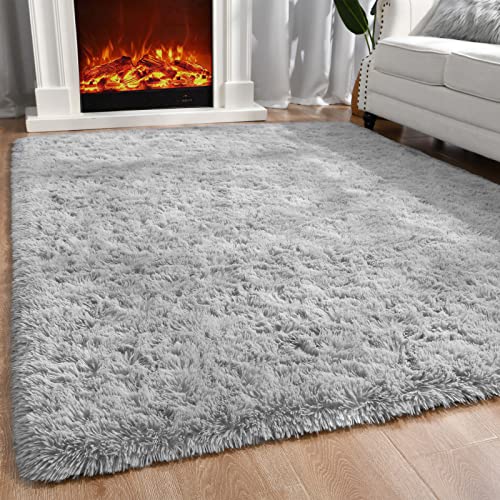 Modern Accent Soft Fluffy Area Rug for Living Room Bedroom, 4x6 Grey Plush Shag Rugs, Fuzzy Shaggy Carpets