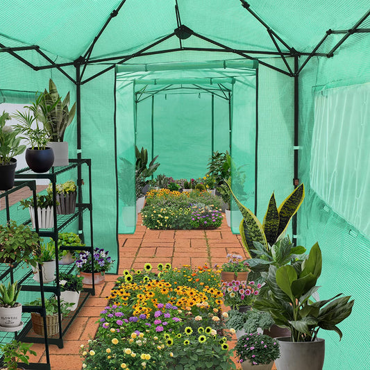 Portable Walk-in Instant Pop up Greenhouse